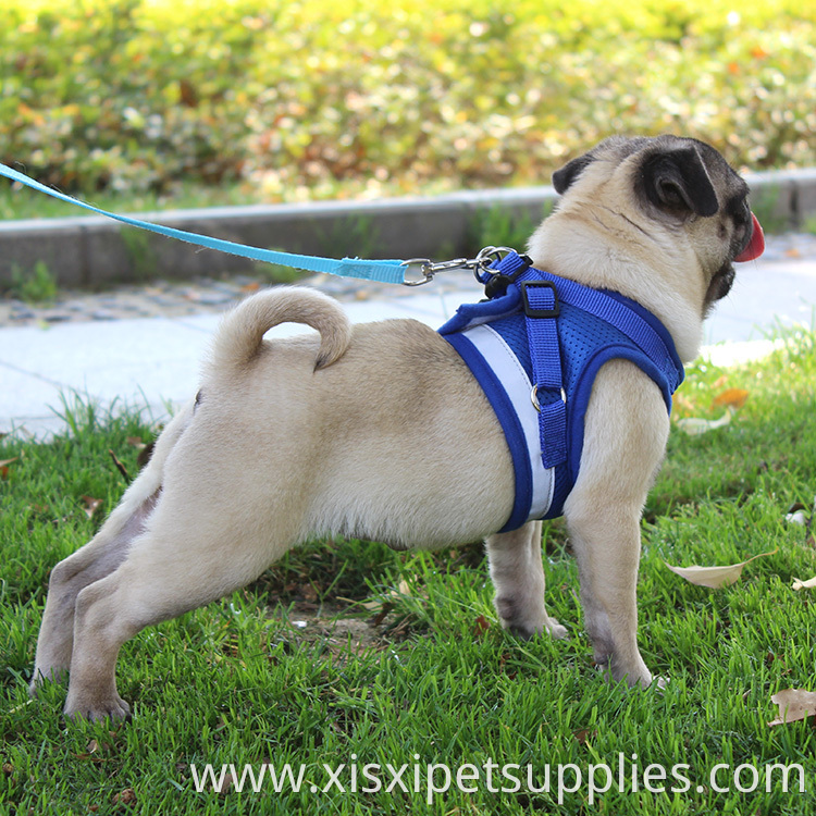 Wholesale Customizable Dog Harness And Leash Pets Accessories